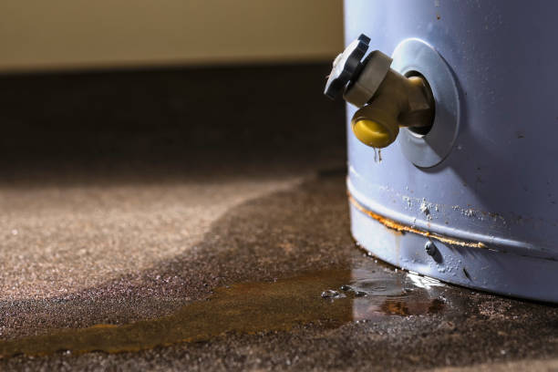 Best Residential water damage restoration  in Oregon, OH