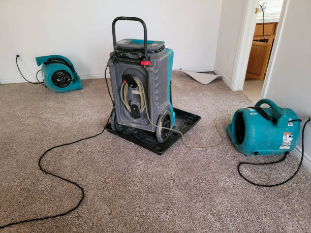 Best Mold removal after water damage  in Oregon, OH