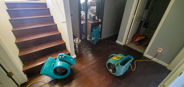  Oregon, OH Water damage restoration Pros