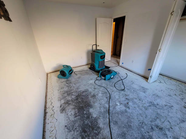 Best Flood damage cleanup  in Oregon, OH