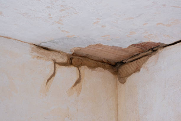 Best Carpet water damage restoration  in Oregon, OH