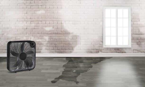 Best Flood restoration services  in Oregon, OH