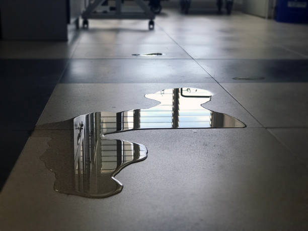 Professional Water damage restoration in Oregon, OH