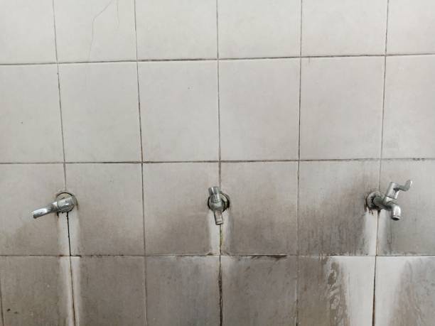 Best Ceiling water damage repair  in Oregon, OH
