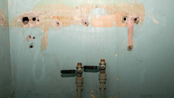 Best Fire Damage Restoration  in Oregon, OH