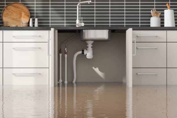 Best Sewage cleanup and water damage restoration  in Oregon, OH