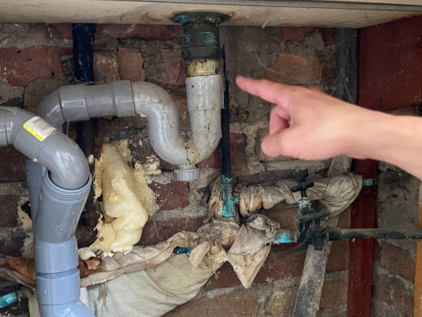 Best Flooded house restoration  in Oregon, OH
