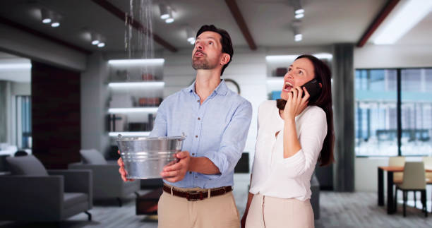 Best Fire Damage Restoration  in Oregon, OH